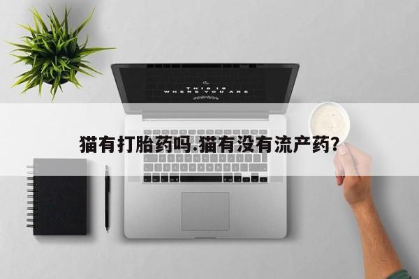 堕胎药购买猫有打胎药吗.猫有没有流产药？