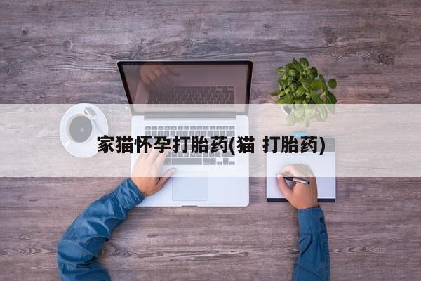 堕胎药购买家猫怀孕打胎药(猫 打胎药)
